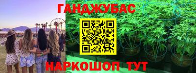 мяу мяу мука Дмитров