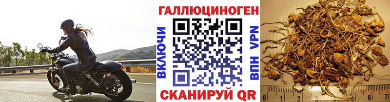 Псилоцибиновые грибы мицелий  Переславль-Залесский 