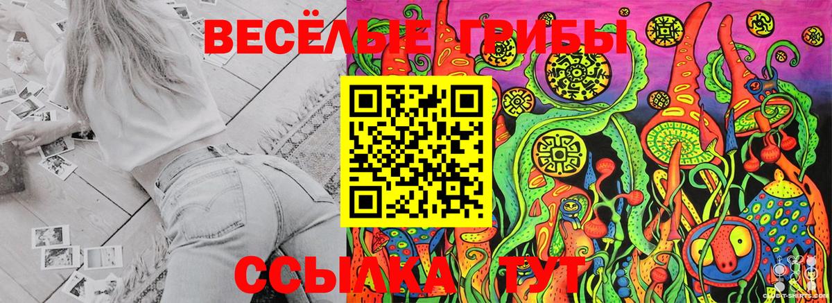 Галлюциногенные грибы Cubensis  Галлюциногенные грибы прущие грибы  Вход с VPN  хочу наркоту  Переславль-Залесский 